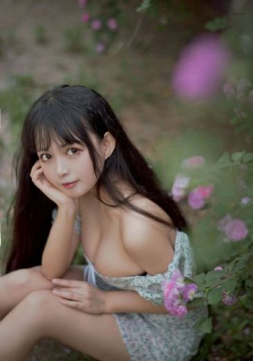 侠盗荣耀_BD韩语高清在线