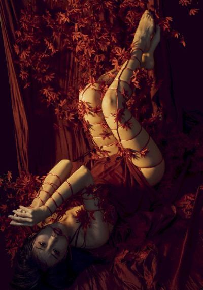 权宠天下医妃要休夫短剧免费观看_超清在线观看