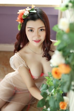 战地枪王电视剧全集免费观看_高清全集在线观看