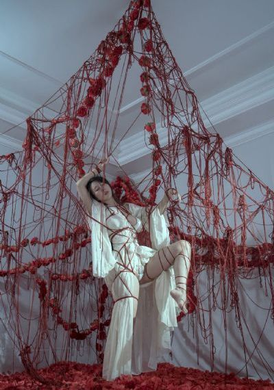完美世界动漫180集全部完结_DVD免费观看电视剧