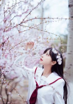 袁嘉敏鸭王_DVD高清电影在线